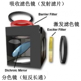 Chroma濾光片/熒光濾光片